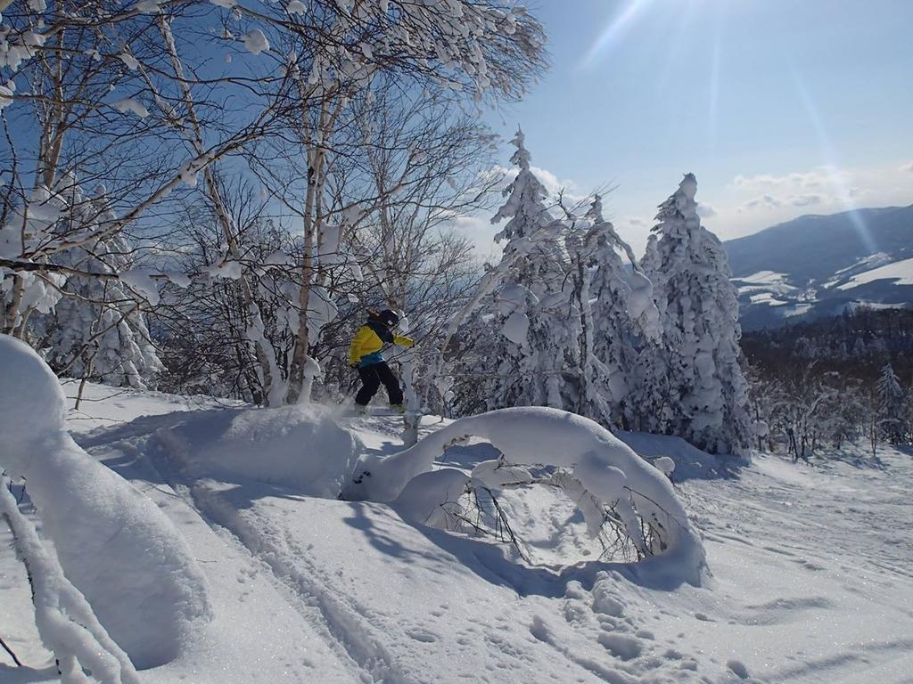 Hoshino Resorts Asahikawa Grand Hotel Экстерьер фото